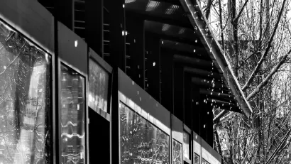 PlayFrank Casino Farsímaforrit